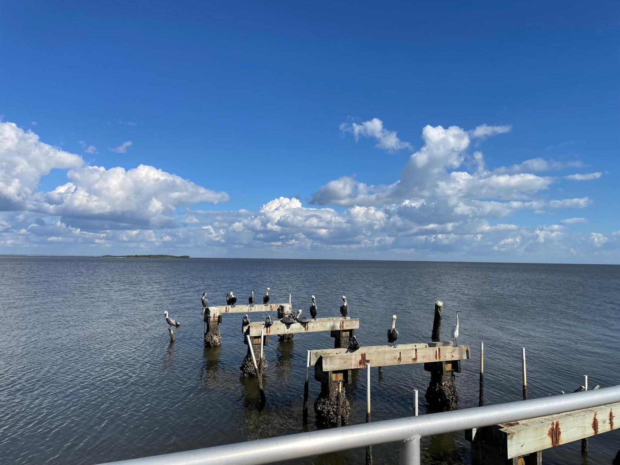 Cedar Key Florida Condo At Park Place Экстерьер фото