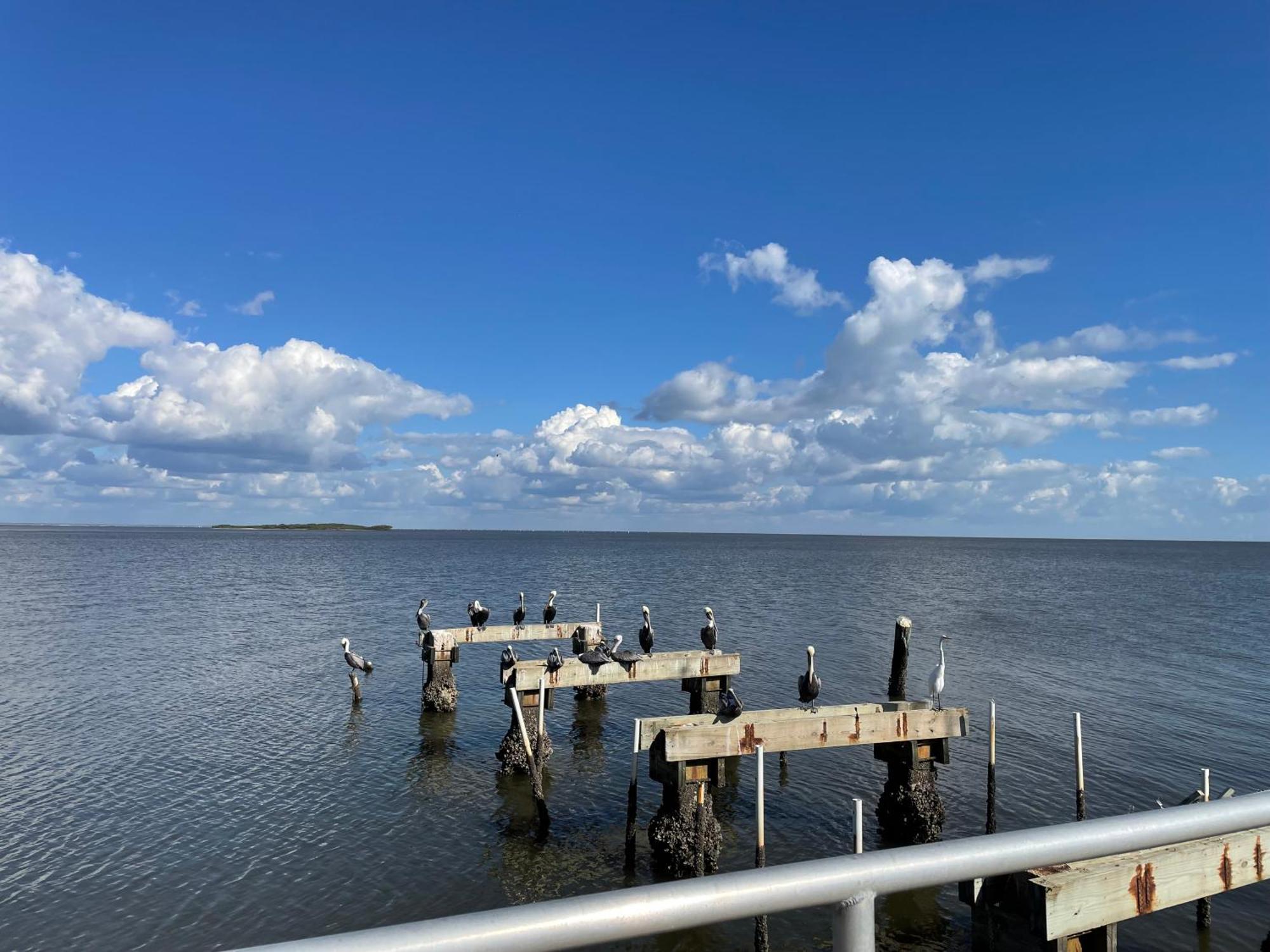 Cedar Key Florida Condo At Park Place Экстерьер фото